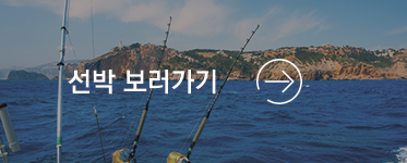선박정보